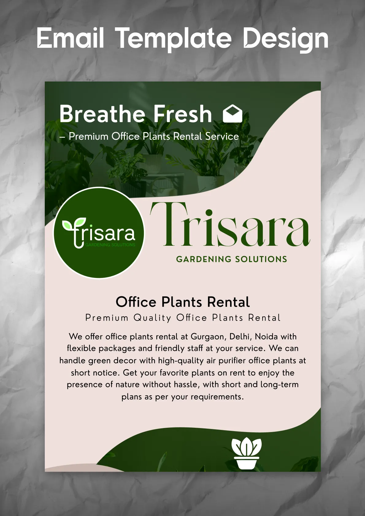 Professional email template design
